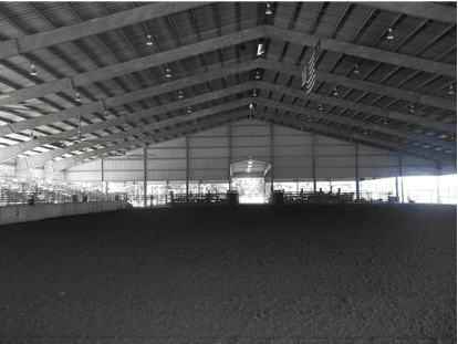 Flags hanging above the arena