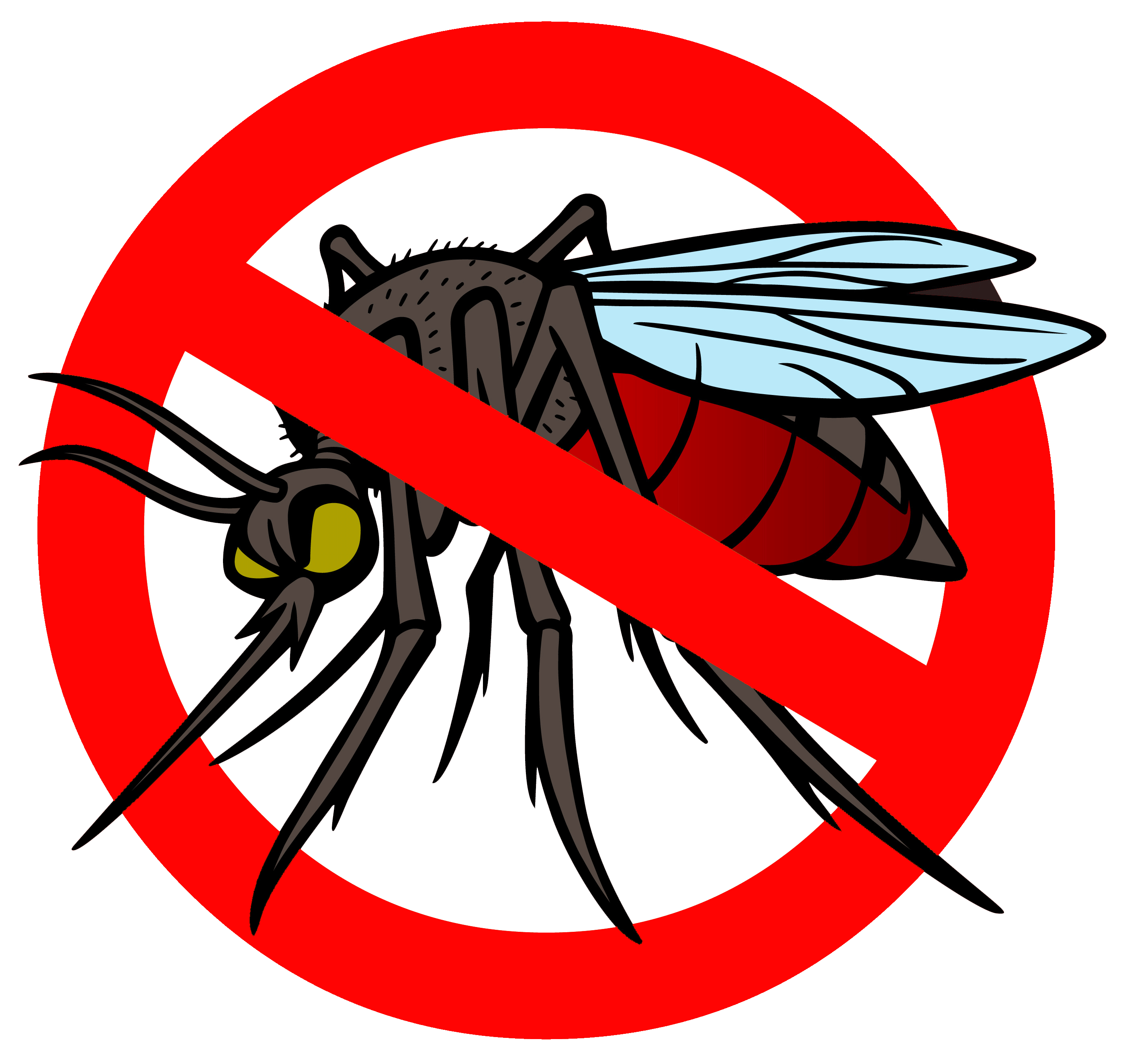 no mosquito